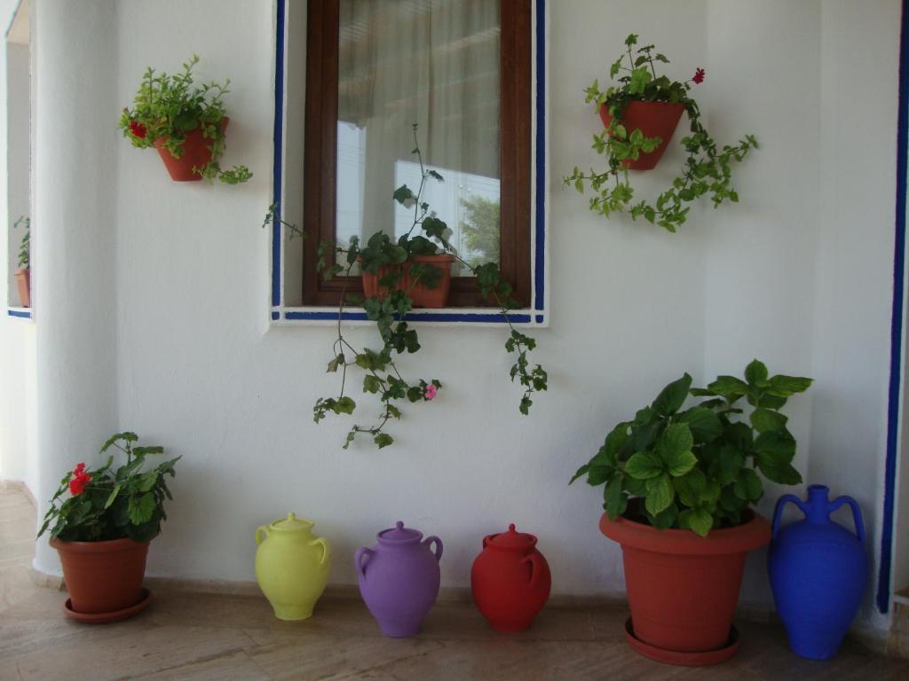 Eden Hotel Bodrum Exterior photo